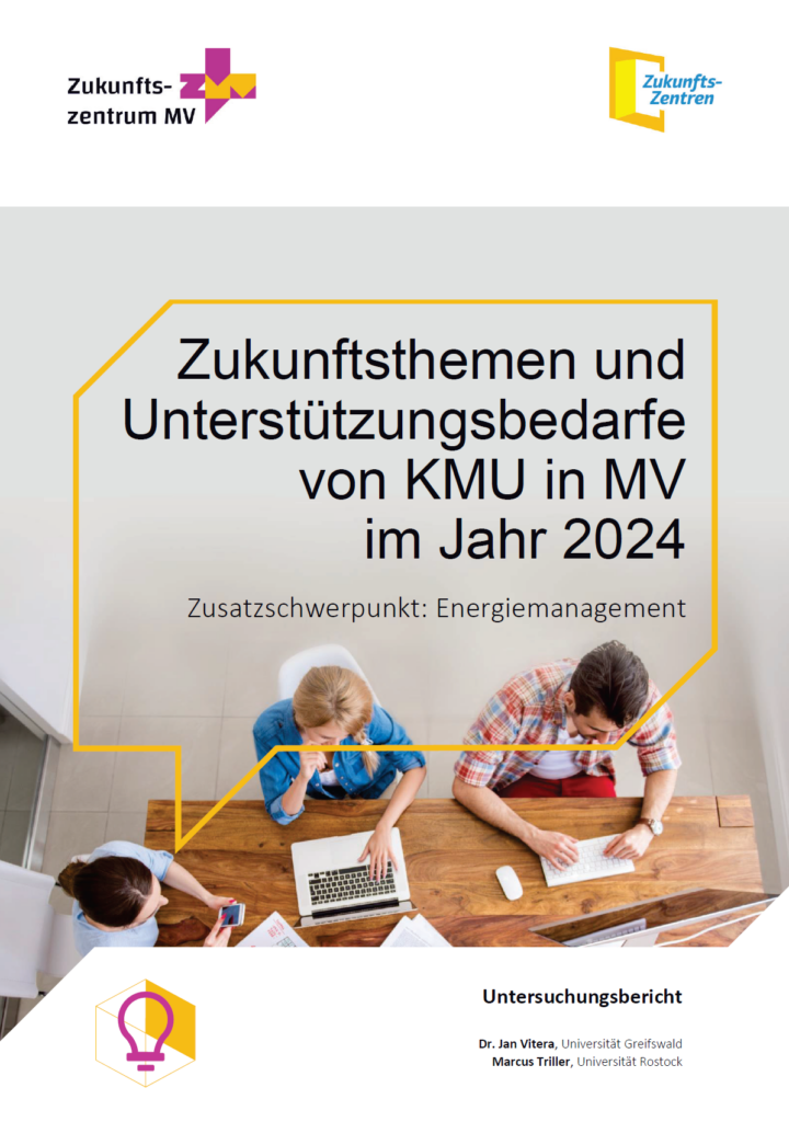 Zukunftsthemen und Unterstützungsbedarfe von KMU in MV im Jahr 2024