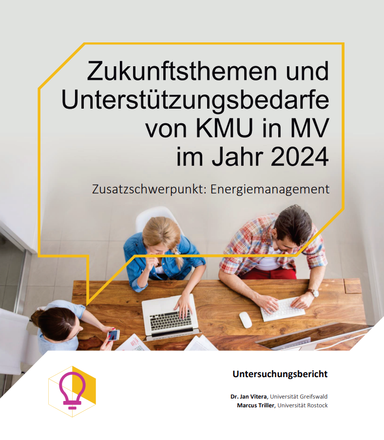 Blog #35 Zukunftsthemen und Unterstützungsbedarfe der KMU in MV (2024)