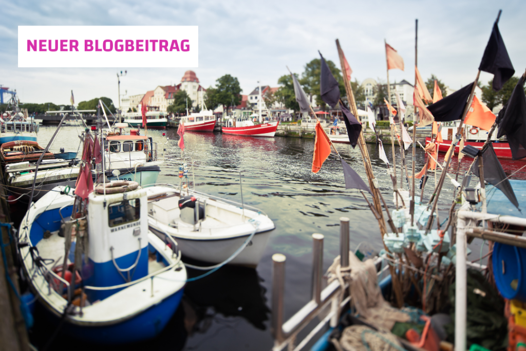Blog #65: Internationalisierung Made in MV Blog #65: Internationalisierung Made in MV
